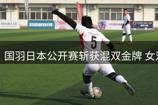 国羽日本公开赛斩获混双金牌 女双遗憾失冠